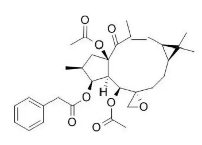 千金子甾醇现货销售