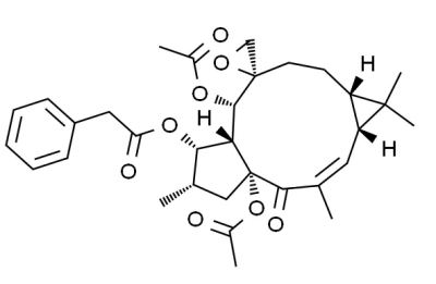 千金子素L1现货销售